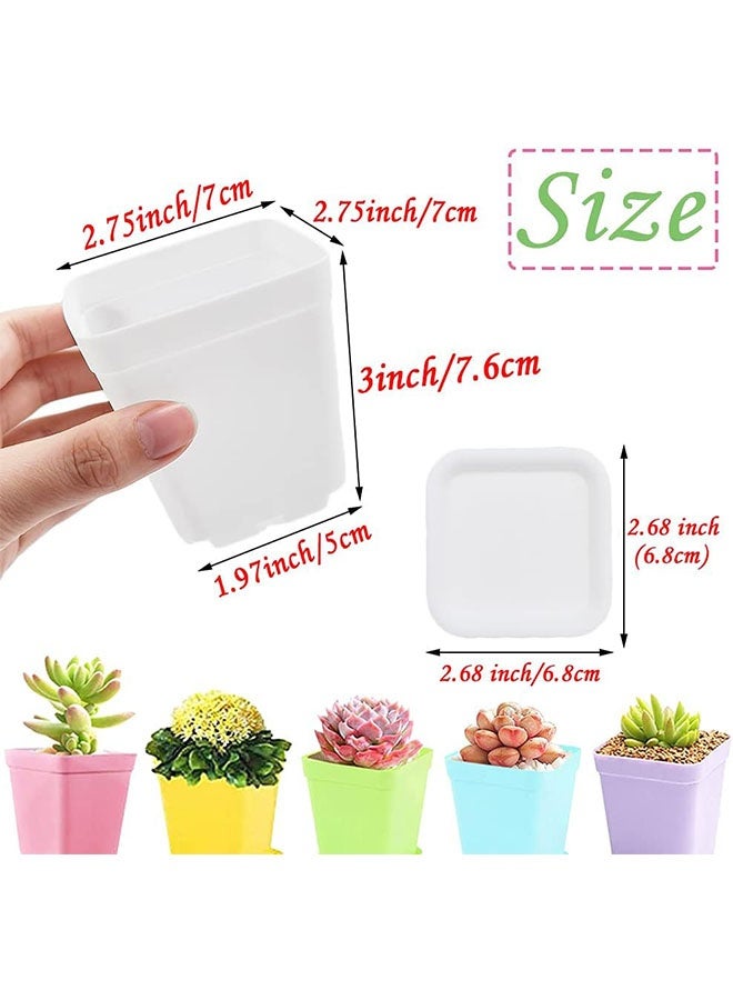 Geustos 48 Pack 3 Inch Colorful Plastic Plant Pot, Plastic Square Nursery Pots, Seedling Nursery Pots with Saucers for Garden, Home, Office, Porch Decor, Garden Gifts - Image 2